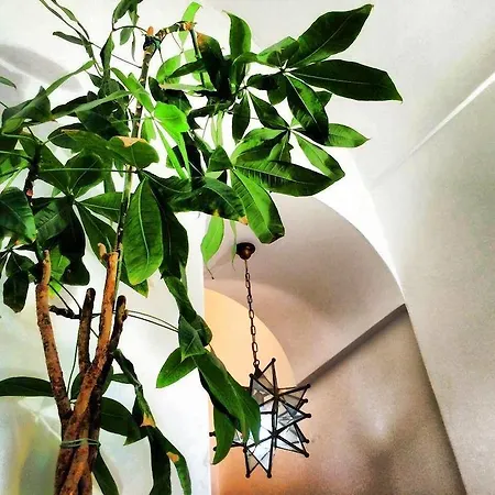 Готель Palazzo Marzoli Charme - Small Luxury Позітано